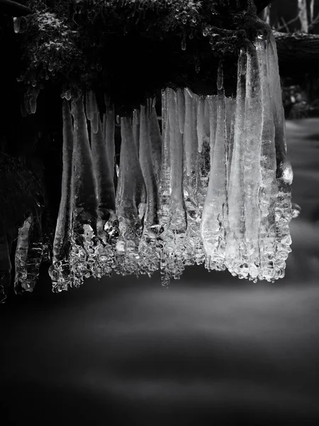 Ramos gelados acima do riacho de inverno. Reflexões brilhantes em icicles , — Fotografia de Stock