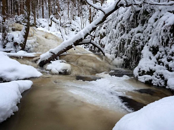 Cascata congelata di cascata, ramoscelli ghiacciati e massi ghiacciati in schiuma congelata di torrente rapido. Inverno ruscello. Congelamento estremo . — Foto Stock