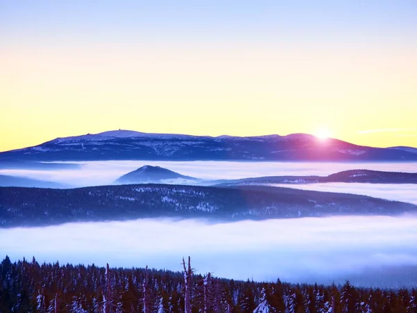 Vinterkväll i bergen. Pulver snötäckta skogen — Stockfoto