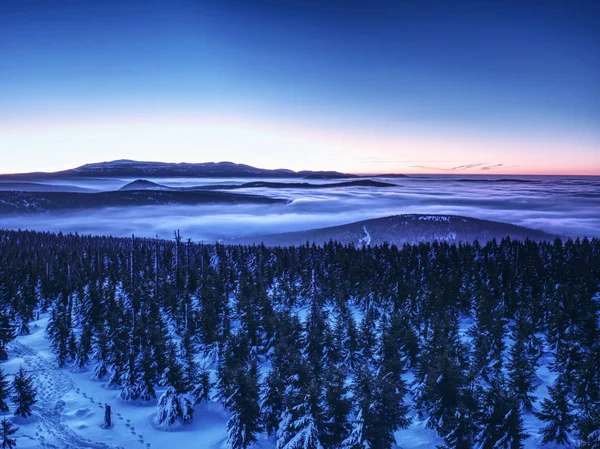 Highest hills above inverse mist. Winter cold weather in mountains — Stock Photo, Image