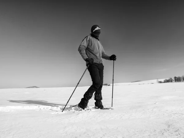Turysta z rakiet śnieżnych chodzić w śnieżny drift. Pogoda słoneczny zamrażać. — Zdjęcie stockowe