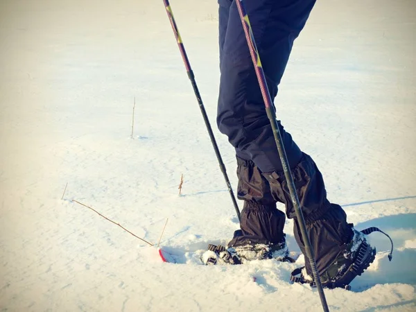 Patas de hombre con raquetas de nieve caminan en nieve. Detalle de la caminata de invierno en la nieve — Foto de Stock