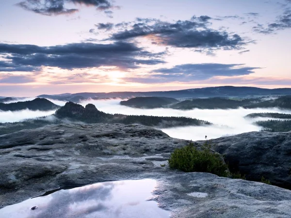 Vista sul picco roccioso di arenaria bagnata nella valle della foresta, sole del giorno — Foto Stock