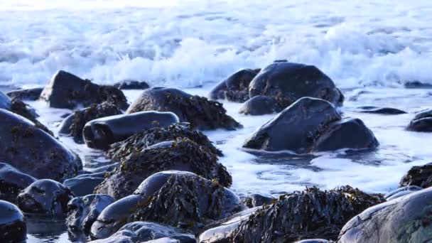 Große starke Wellen, die gegen den scharfen Felsen der Insel Skye in Schottland krachen. schäumender Meeresspiegel. abgerundete große schwarze Steine und scharfer felsiger Turm über dem schäumenden Meer der Hebriden. Touristenort. — Stockvideo