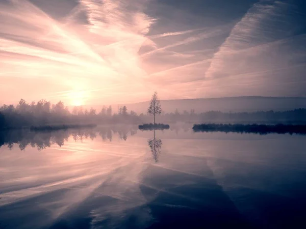 Swampy mountain  lake with mirrored  water level in mysterious forest, abandoned birch tree on island in middle. Fairy misty weather, autumnal colors. — Stock Photo, Image