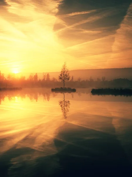 Swampy mountain  lake with mirrored  water level in mysterious forest, abandoned birch tree on island in middle. Fairy misty weather, autumnal colors. — Stock Photo, Image