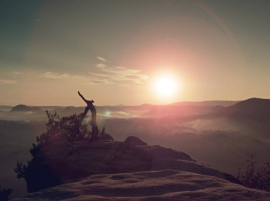 Wilde çam bonsai ağacı üzerinde kayalık uçurum kırık. Güneş ufuktan