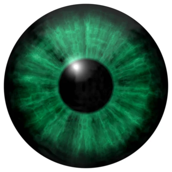 Ilustración del ojo verde humano, reflejo de la luz . —  Fotos de Stock