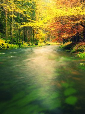 Fall river. Sonbahar sezonu, dağ nehir. Yeşil algler