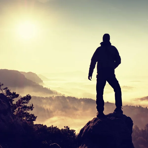 Homem no topo da montanha. Caminhante subiu no pico da rocha acima do vale nebuloso . — Fotografia de Stock