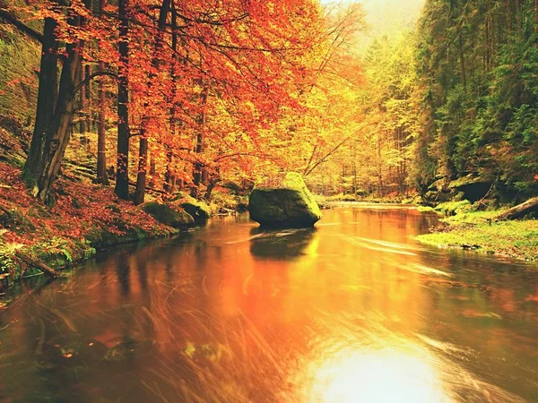 Hösten river. Färgglada skogen ovanför mountain river. — Stockfoto