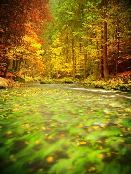 Fall river. Autumn season at mountain river. Green algae — Stock Photo, Image