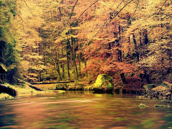 美丽秋天河线与巨砾砂岩岩石 — 图库照片