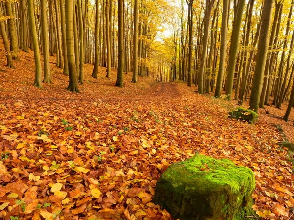 Podzim v přírodě. Malebnou podzimní krajinou — Stock fotografie