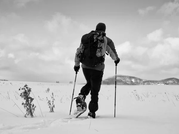 Hombre limpiando raquetas de nieve. Caminante en chaqueta de invierno gris verde y pantalones de trekking negro caminar en nieve presentada. Raquetas de nieve en polvo. Nublado día de invierno, viento suave trae pequeños copos de nieve — Foto de Stock