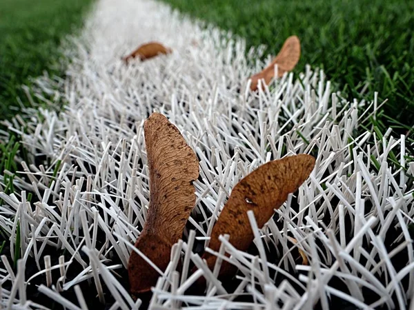 End of football season. Plastic green football turf — Stock Photo, Image