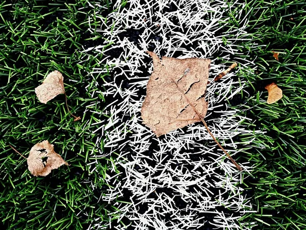 Ende der Fußballsaison. Plastik grüner Fußballrasen — Stockfoto