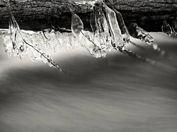 Eisglatte Äste über dem kalten Bach. Spiegelungen in Eiszapfen — Stockfoto