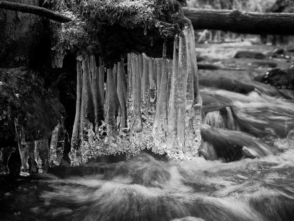 Větvích nad zimních potoka. Světlé odrazy v rampouchy, — Stock fotografie