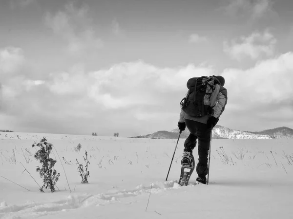 Hombre limpiando raquetas de nieve. Caminante en chaqueta de invierno gris verde y pantalones de trekking negro caminar en nieve presentada. Raquetas de nieve en polvo. Nublado día de invierno, viento suave trae pequeños copos de nieve — Foto de Stock