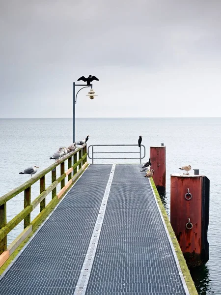 Boş pier Harbor. Çelik Ocak ızgarası kurulu. Lamba siyah karabatak otur. — Stok fotoğraf