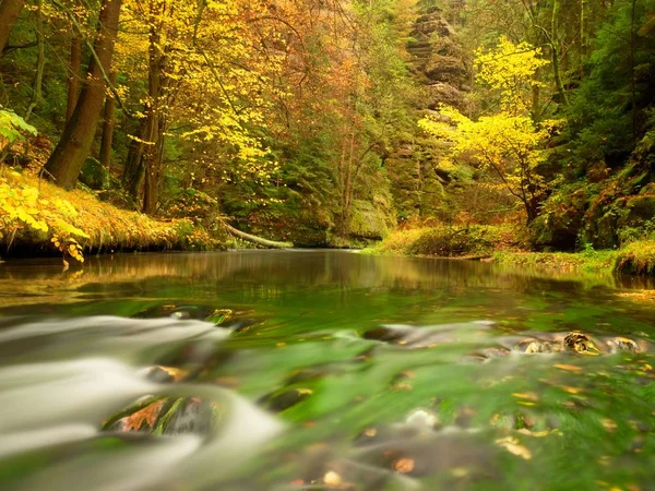 Herbstliche Natur. Gebirgsfluss mit niedrigem Wasserstand, bunte Blätter im Wald. Moos und Geröll am Ufer, grüner Farn, — Stockfoto