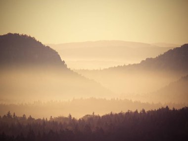 Melankolik sabah yağmurlu gece sonra. Vadi bahar sis tam. 