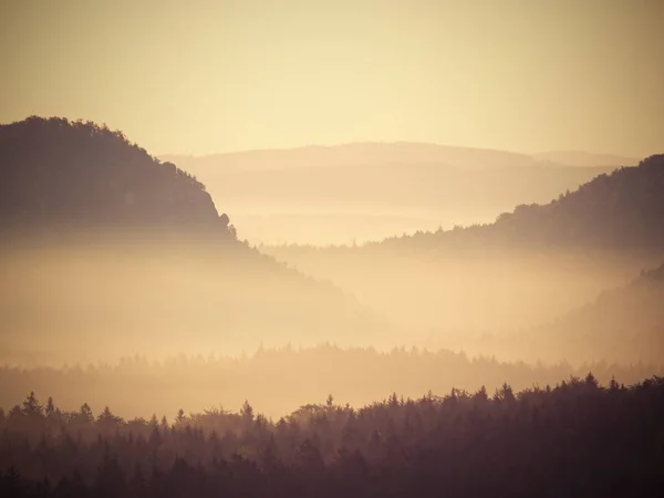 Меланхолическое утро после дождливой ночи. Долина, полная весеннего тумана . — стоковое фото