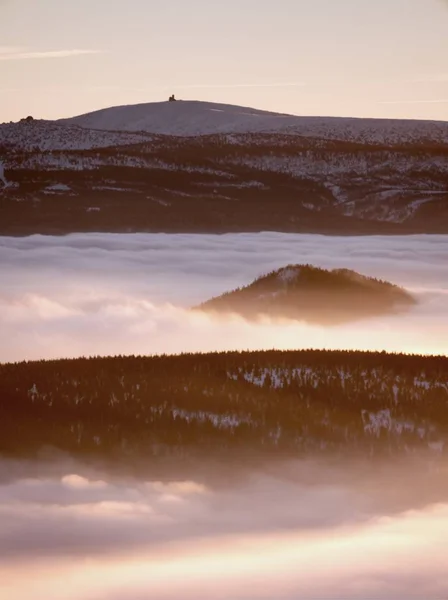 Clima inverso en las montañas, niebla brillante. Misty Valley en invierno —  Fotos de Stock