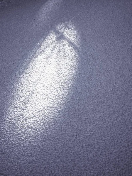 Sombras de árvore em estuque de neve de cristal. Superfície neve — Fotografia de Stock