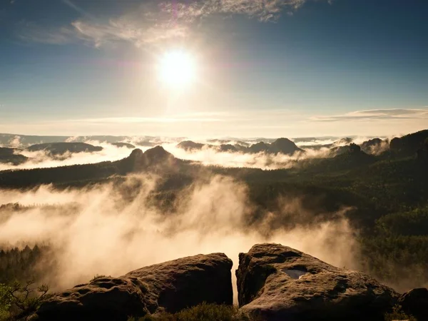 森林谷に砂岩の崖からの朝の景色 — ストック写真
