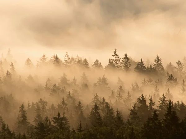 Красивый осенний пейзаж с видом на горы, утренняя туманная долина — стоковое фото