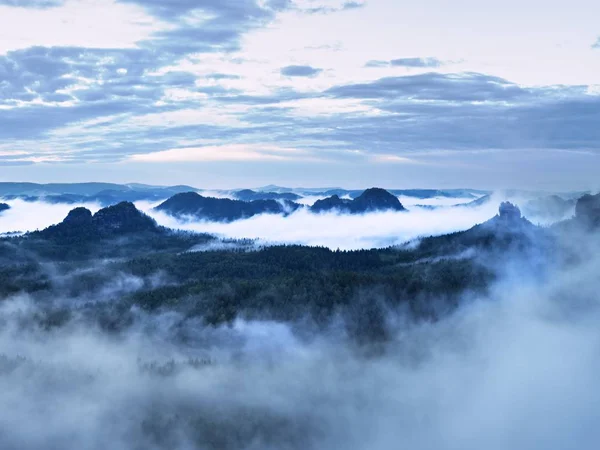 Brume bleue dans les montagnes. Forêt estivale après une nuit pluvieuse intense — Photo