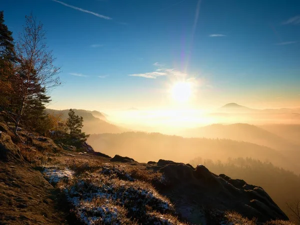 Cold golden spring daybreak. Snow on ground. Peaks of forest — Stock Photo, Image