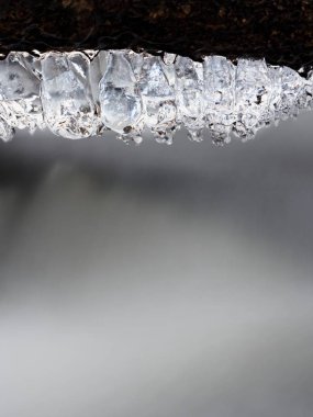 Çalı çırpı ve biber hızlı akış yukarıda buzlu kabuk buz sarkıtları dayan. 