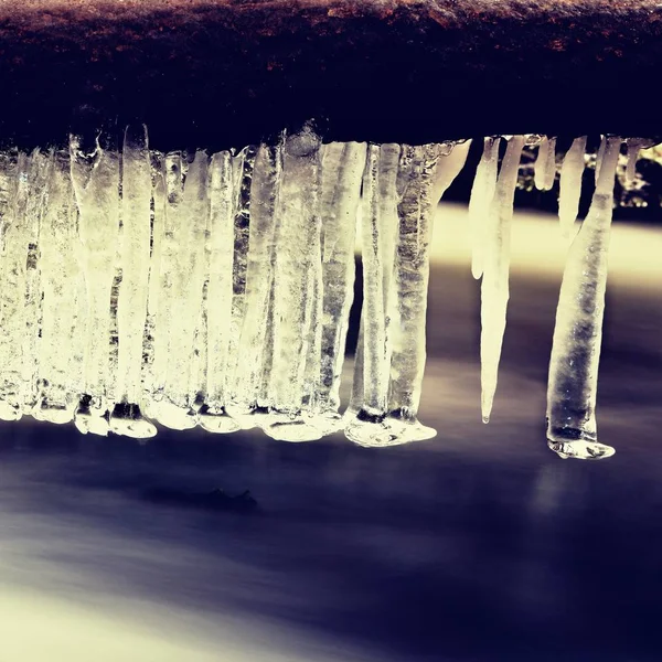 Icicles hang on twigs and icy bark above chilli rapid stream. — Stock Photo, Image