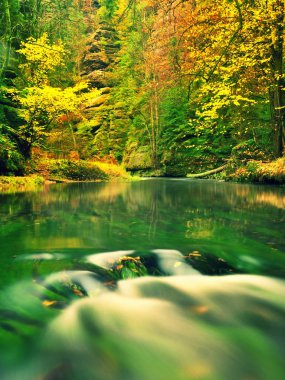Sonbahar doğa. Dağ nehir su, renkli düşük düzeyde bırakır