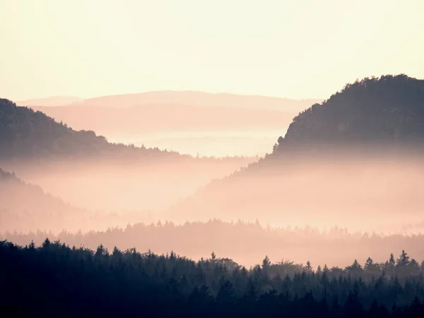 Melancholic morning after rainy night. Valley full of spring mist. — Stock Photo, Image