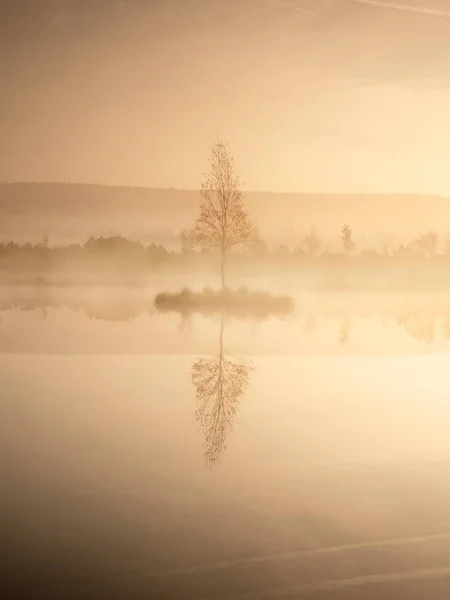 Violetter Morgen mit friedlichem Wasser, sumpfigem See — Stockfoto