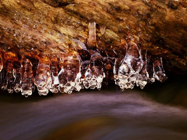 Los carámbanos brillantes cuelgan del tronco caído por encima del agua lechosa — Foto de Stock