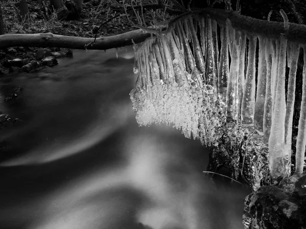 De longues glaçons pendent sur le tronc tombé au-dessus de l'eau sombre — Photo