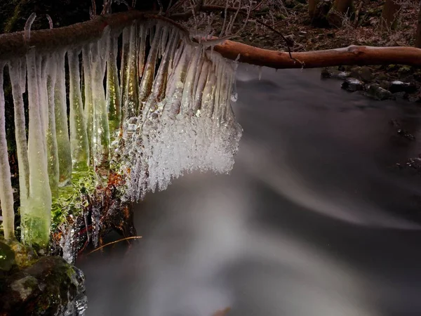 Lange ijspegels hangen gevallen boomstam boven donker water — Stockfoto