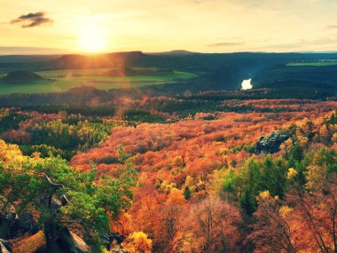 Derin puslu Vadisi için dalları ile sonbahar öğleden sonra içinde görüntüleyin. Foggy ve kum sabahı