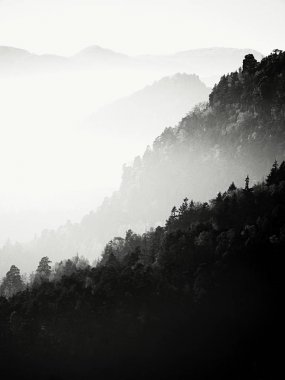 Doğal gündoğumu geçiş renkli sis dağlarda,