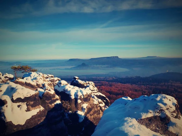 Pink daybreak in hilly landscape. Early winter misty morning — Stock Photo, Image