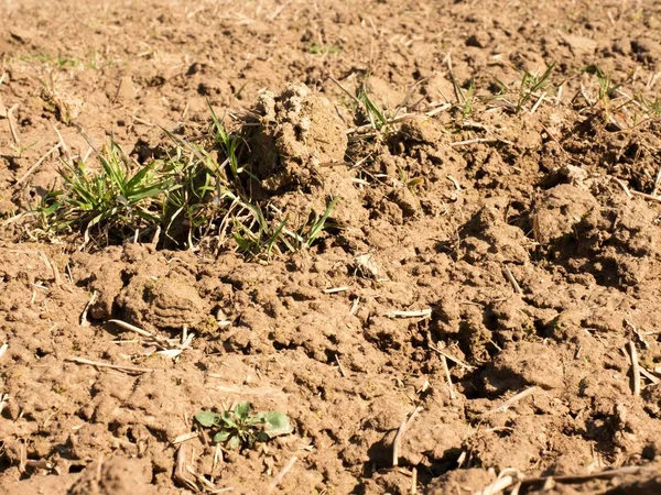 Argila empoeirada no campo. Campo lavrado vazio espera por semeadura . — Fotografia de Stock