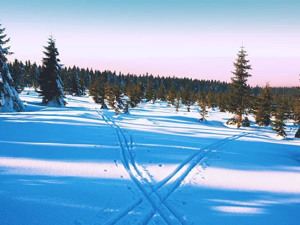 Deux pistes pour le ski de fond en montagne hivernale . — Photo