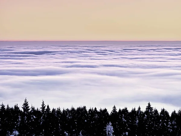 Vinterkväll i bergen. Pulver snötäckta skogen i bergen — Stockfoto