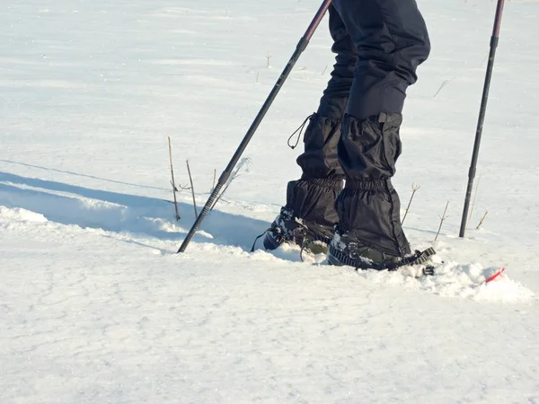 Le gambe dell'uomo con le ciaspole camminano nella neve. Dettaglio escursione invernale in cumulo di neve — Foto Stock