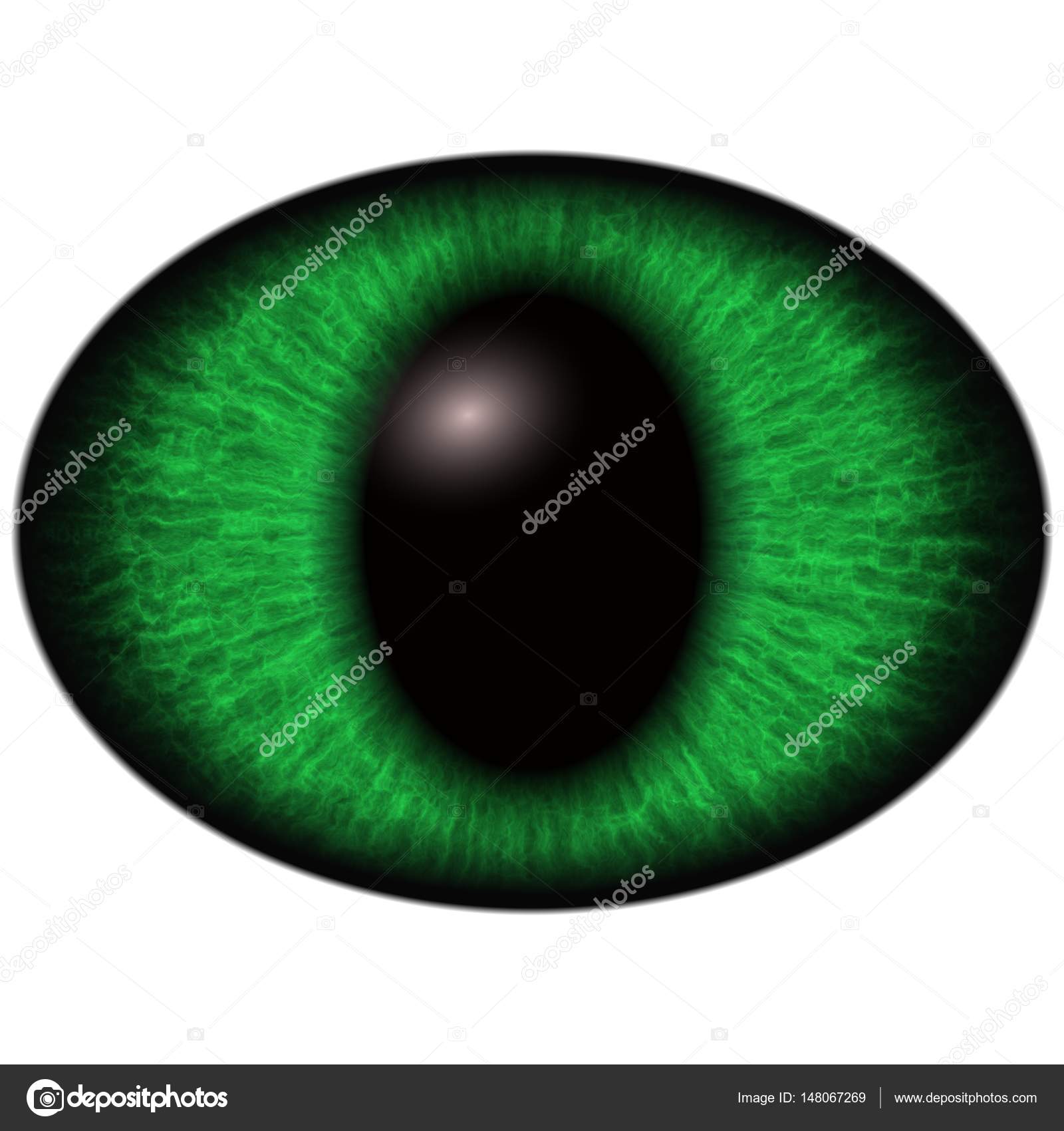 Öğrenciler ne için dilate edildi Öğrenciler ne için dilate edildi